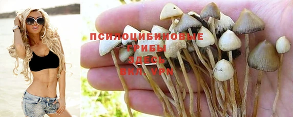 экстази Сатка