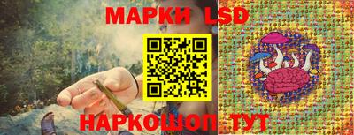 PSILOCYBIN Заводоуковск