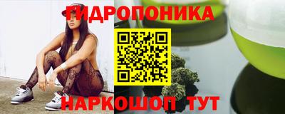 PSILOCYBIN Заводоуковск