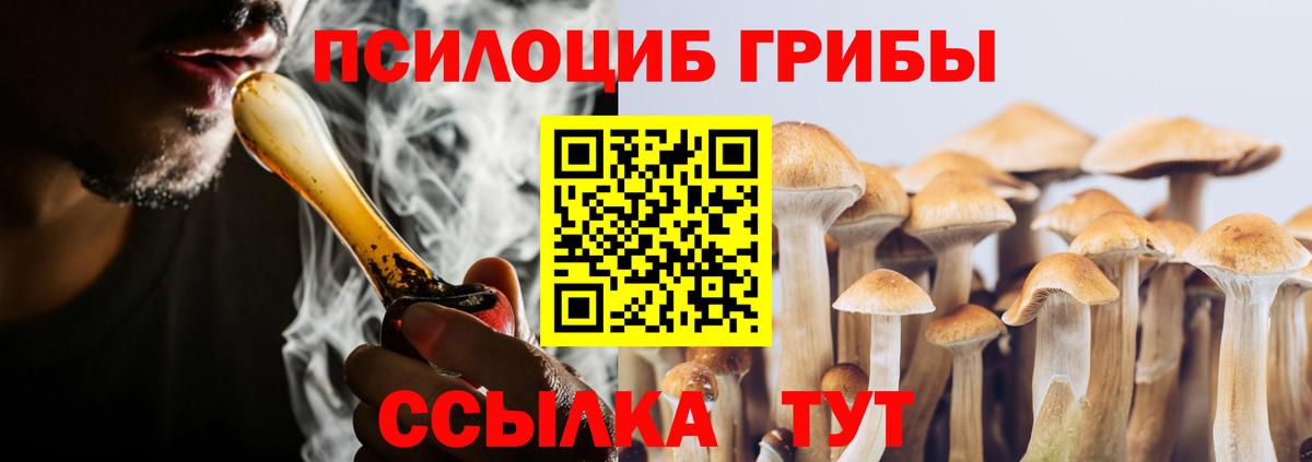 Псилоцибиновые грибы GOLDEN TEACHER Муравленко